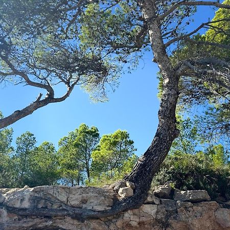 Cassa Jessi Villa Tarragona Dış mekan fotoğraf