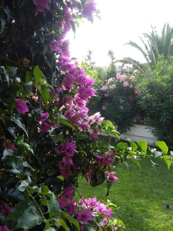 Cassa Jessi Villa Tarragona Dış mekan fotoğraf